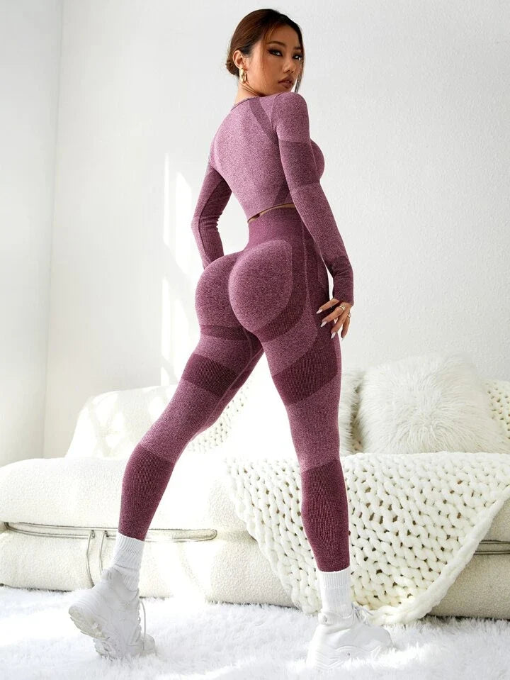 2pcs Seamless Colorblock Gym Suit Yoga Set Thumbhole Tee & Hip-Hugging Tummy Control Legging