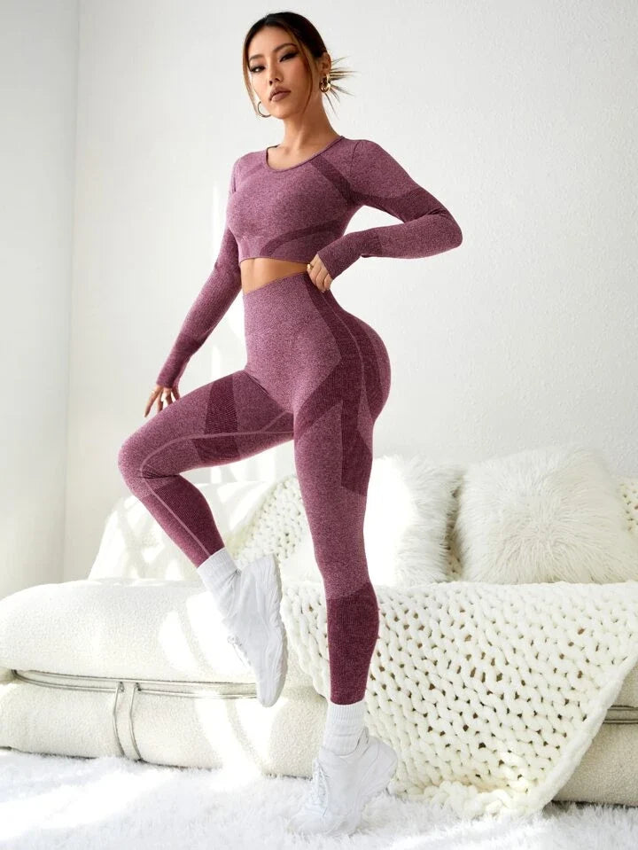 2pcs Seamless Colorblock Gym Suit Yoga Set Thumbhole Tee & Hip-Hugging Tummy Control Legging