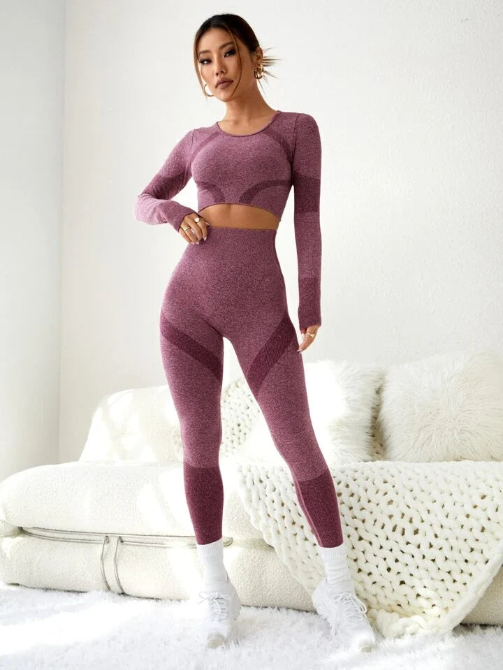 2pcs Seamless Colorblock Gym Suit Yoga Set Thumbhole Tee & Hip-Hugging Tummy Control Legging